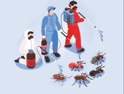 Health Risks Associated with Pests: Protecting Your Well-being